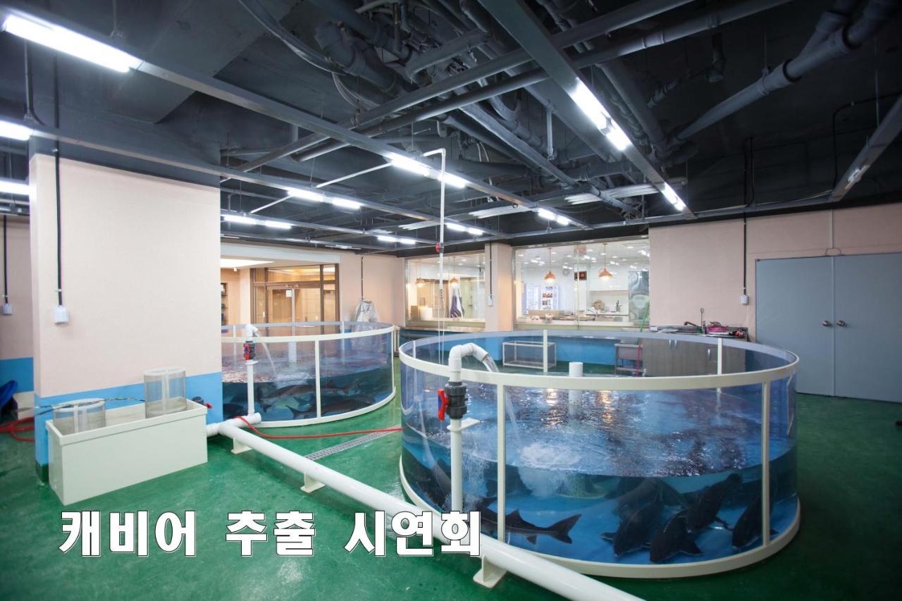 Cheongpyeong Family Hotel Gapyeong Ngoại thất bức ảnh